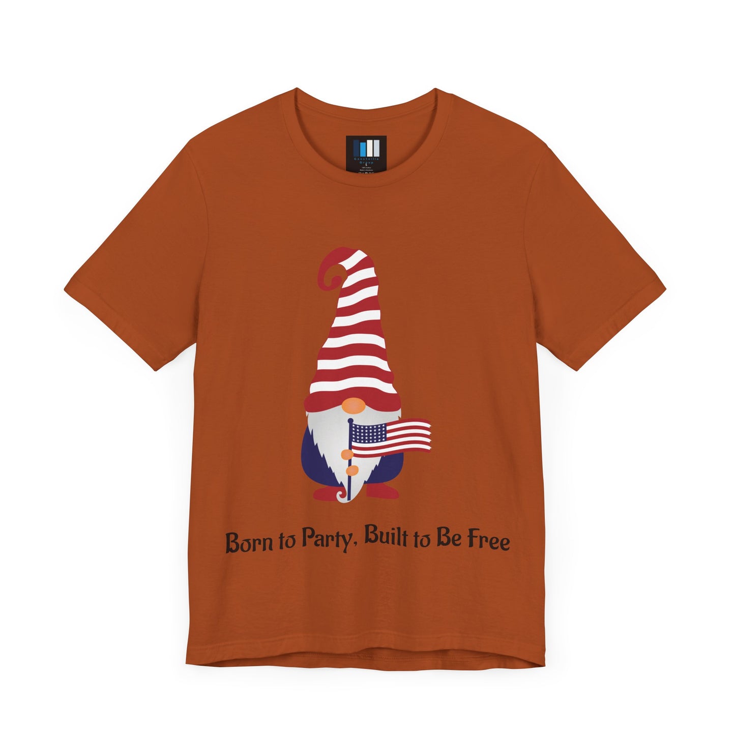 Unisex Jersey Short Sleeve Tee Born to Party, Built to Be Free T-Shirt – Funny Patriotic Tee for 4th of July BBQs - Constellia Group