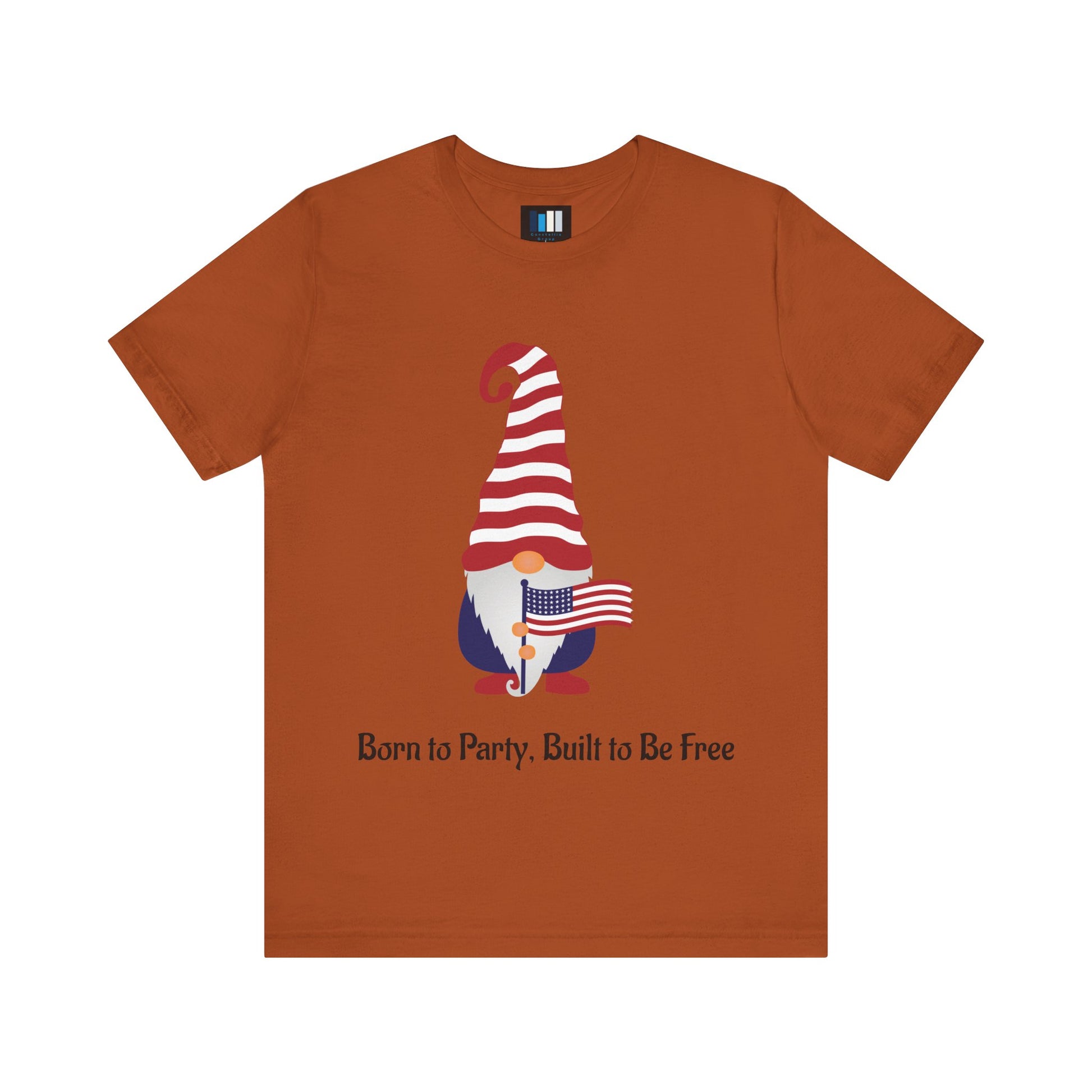 Unisex Jersey Short Sleeve Tee Born to Party, Built to Be Free T-Shirt – Funny Patriotic Tee for 4th of July BBQs - Constellia Group